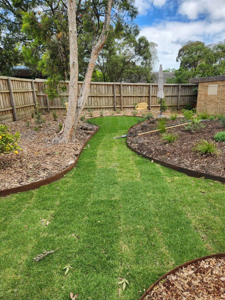 Backyard transformation with lawn path and garden beds in Eastern Suburbs
